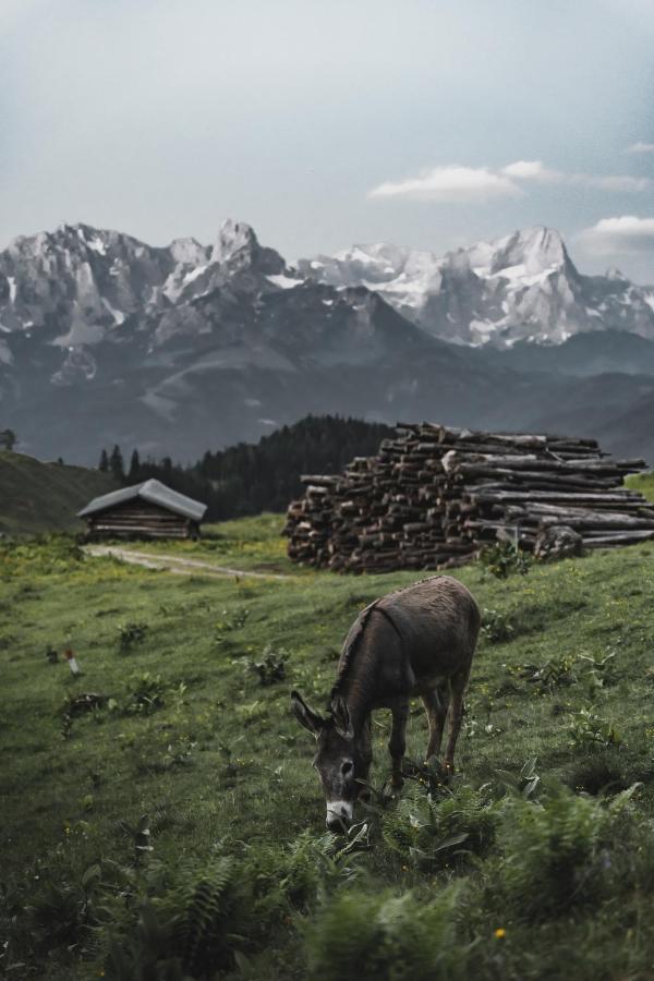 Gaestehaus Eder Sankt Martin am Tennengebirge Zewnętrze zdjęcie